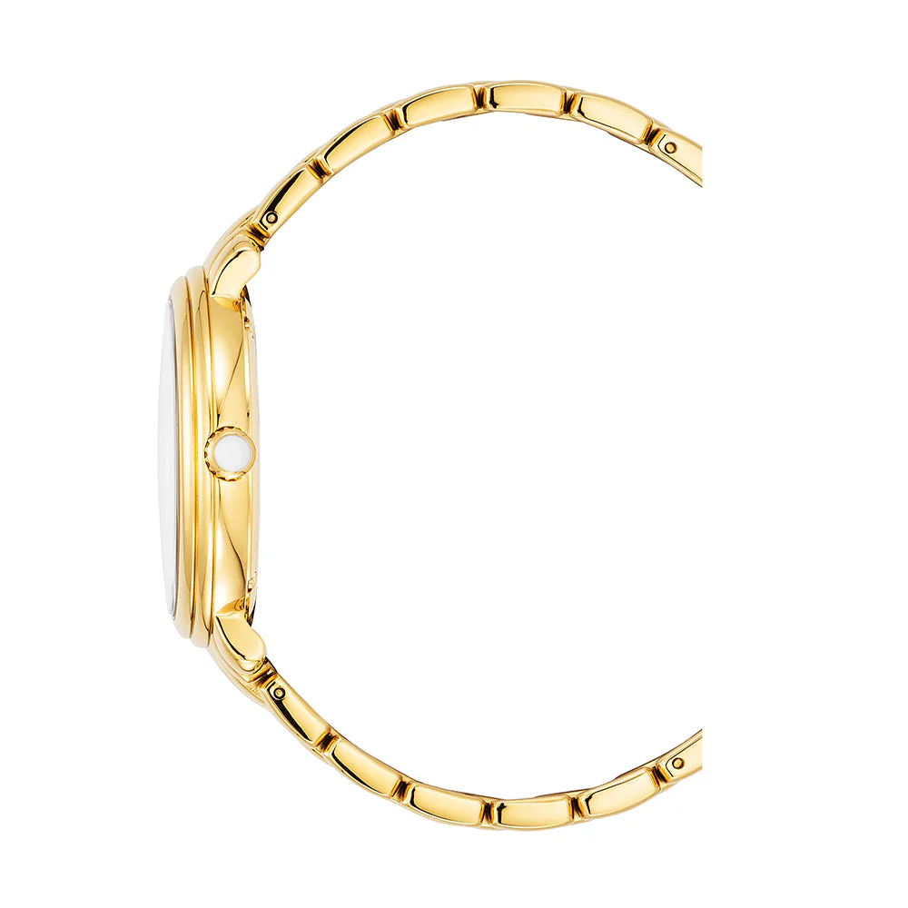 Aigner Foligno Ladies Watch - Image 3