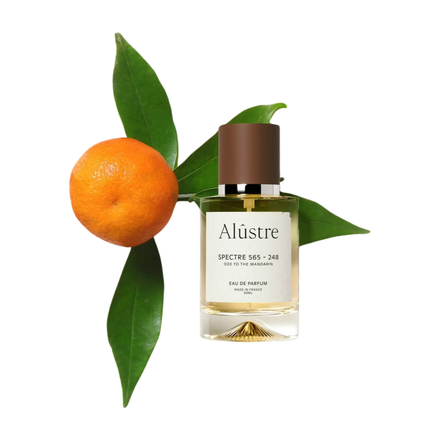 Alustre Spectre 565-248 Complexities Of The Mandarin - Image 3