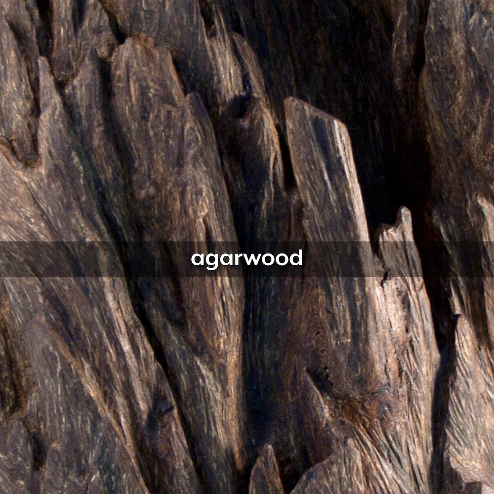 Oud Wood, 50g - Image 3