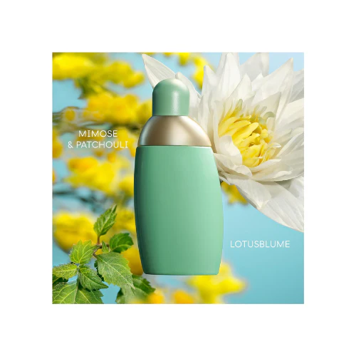 Cacharel Eden for Women 50ml - Eau de Parfum - Image 2