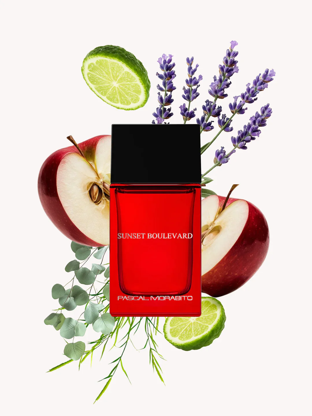Pascal Morabito - Sunset Edt 100ml - Image 3